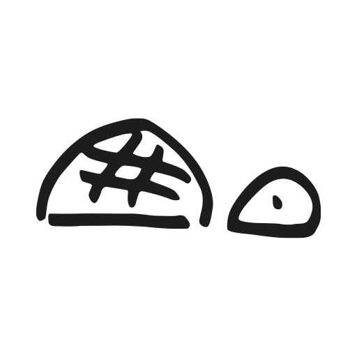 Tortue_Blog