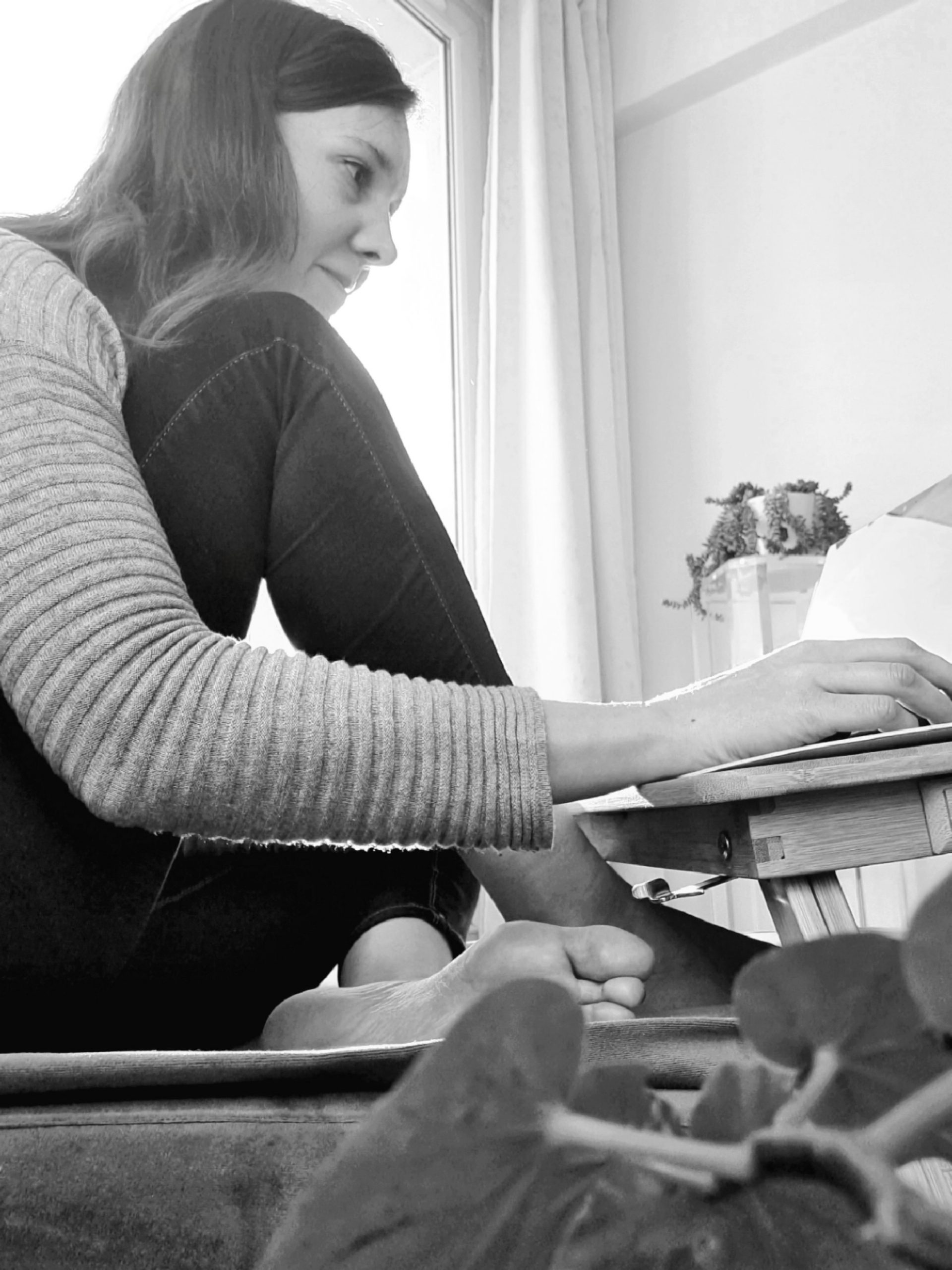 Teletravail_TORTUE_1